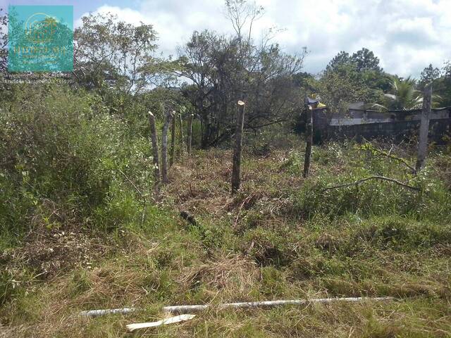 Terreno para Venda em Mongaguá - 3