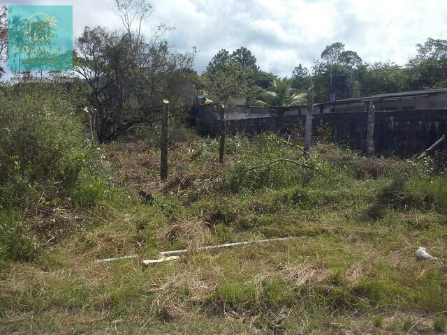 Terreno para Venda em Mongaguá - 4